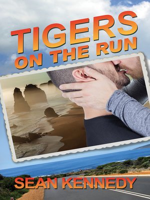 Tigers on the Run - ebook